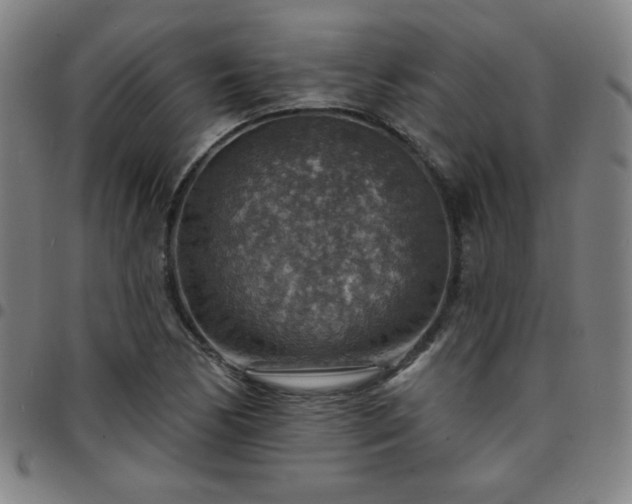 X0000097671170200803071548