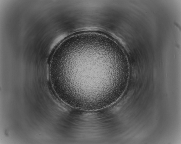 X0000097671171200803071548