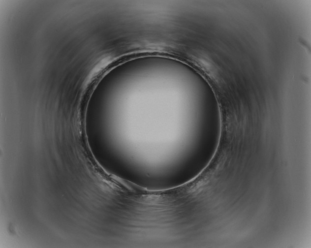 X0000097671172200803071548