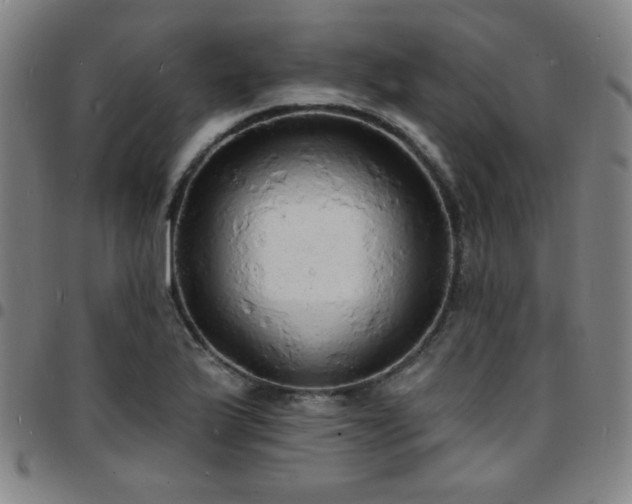 X0000097671175200803071548