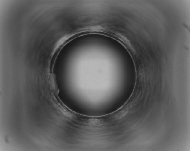 X0000097671176200803071548