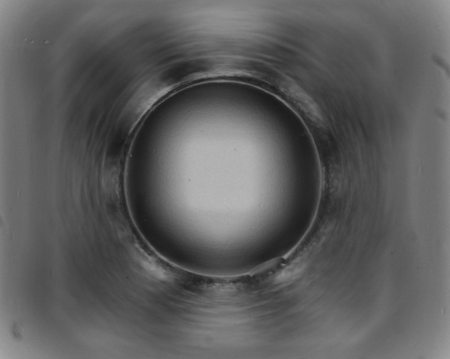 X0000097671177200803071548