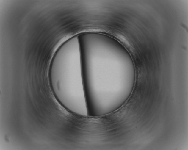 X0000097671181200803071548