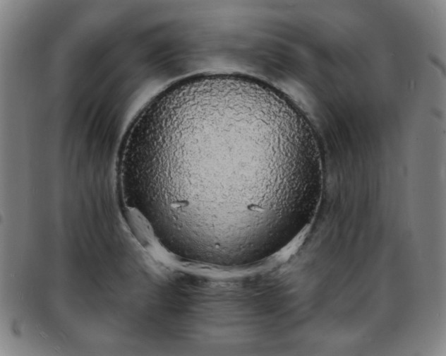 X0000097671183200803071548