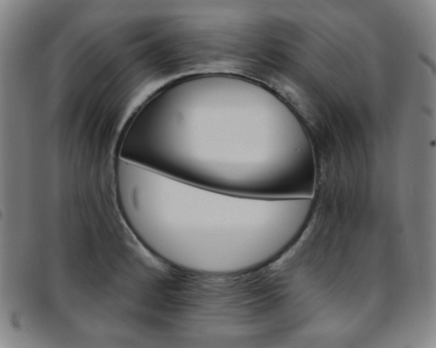 X0000097671184200803071548