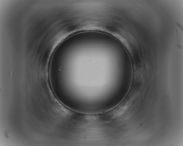 X0000097671191200803071548