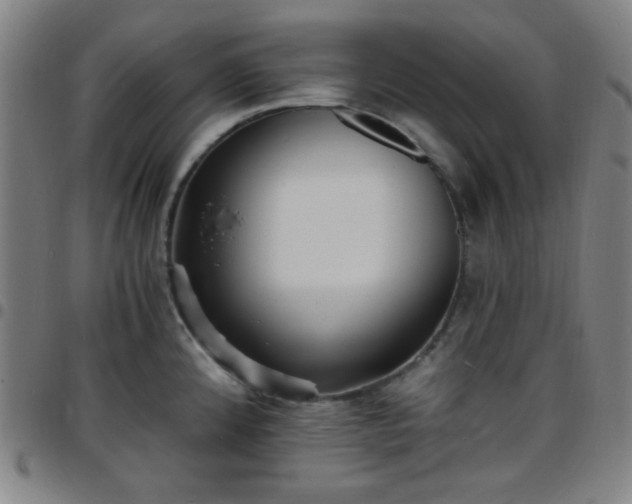 X0000097671192200803071548