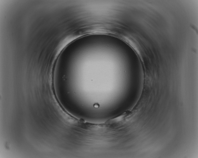 X0000097671195200803071548
