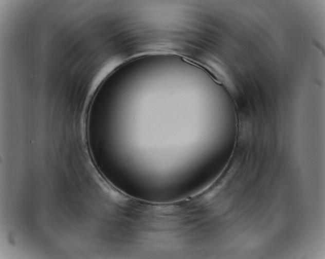 X0000097671196200803071548