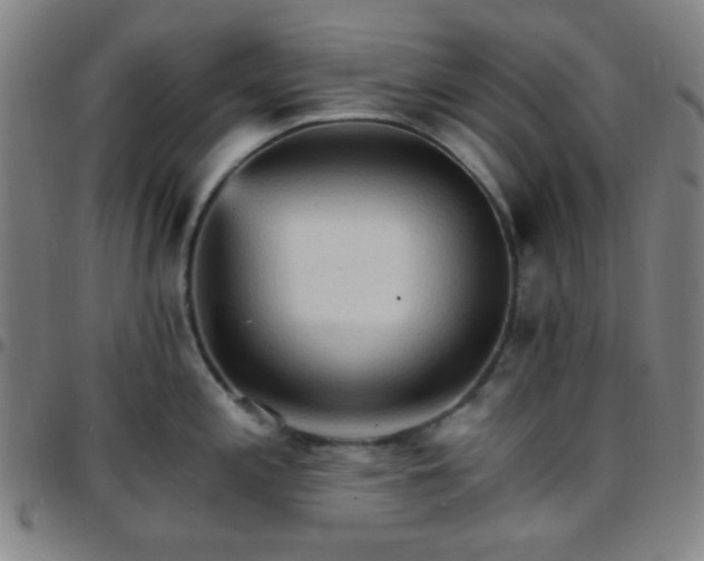 X0000097671197200803071548