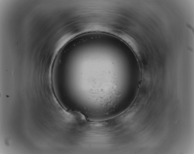 X0000097671199200803071548