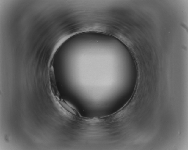 X0000097671200200803071548