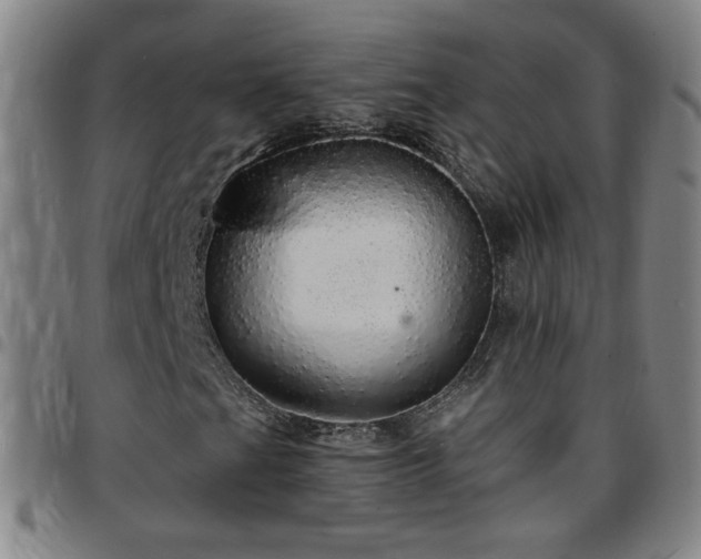 X0000097671201200803071547