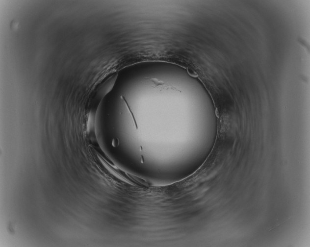 X0000097671202200803071547