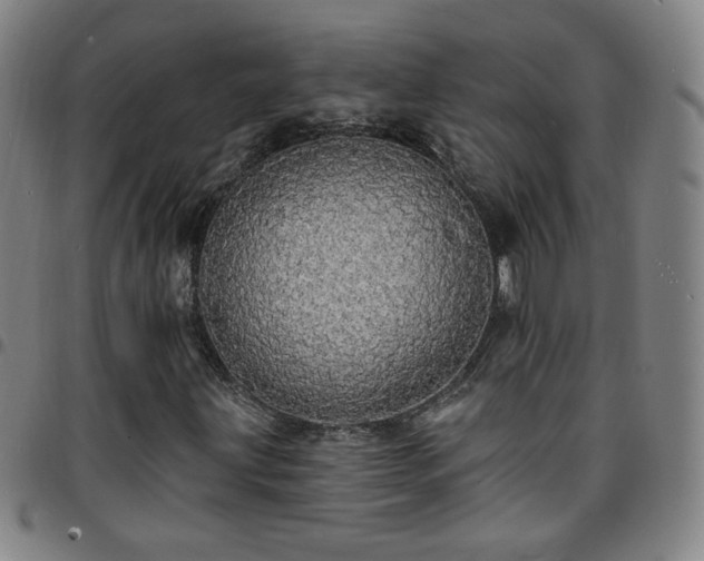 X0000097671203200803071547