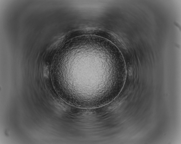 X0000097671204200803071547