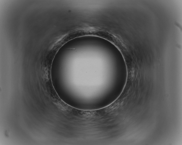 X0000097671205200803071547