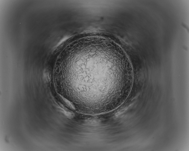 X0000097671206200803071547