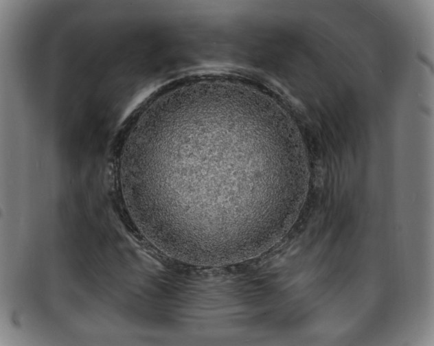 X0000097671208200803071547