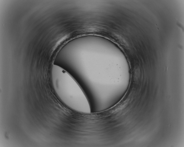 X0000097671210200803071547