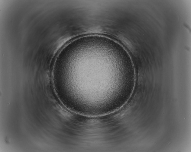 X0000097671212200803071547