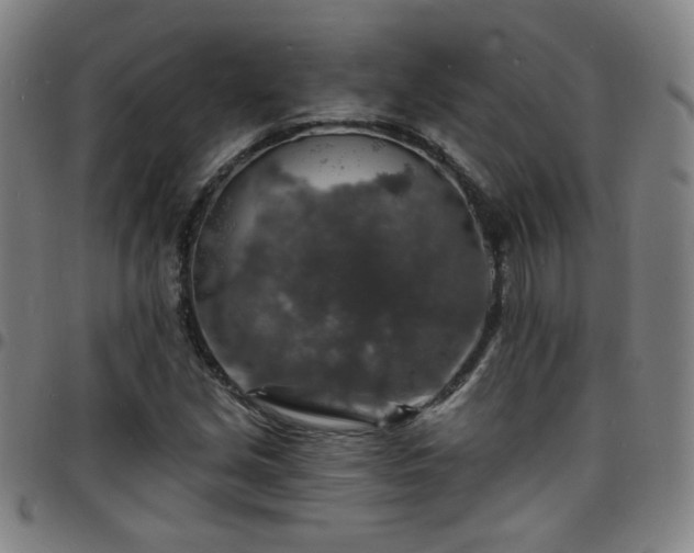 X0000097671213200803071547