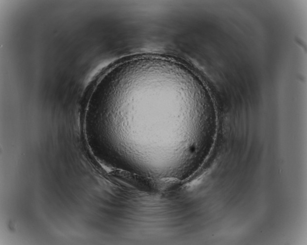X0000097671214200803071547
