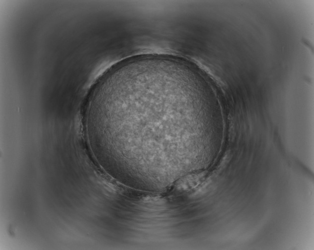 X0000097671215200803071547