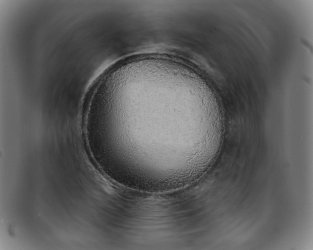 X0000097671216200803071547