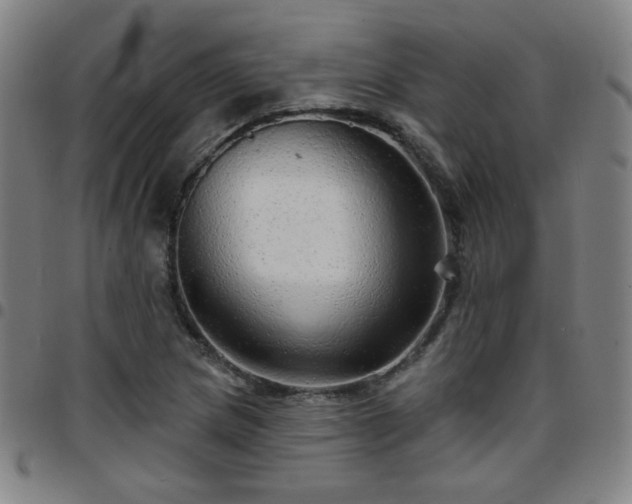 X0000097671217200803071547
