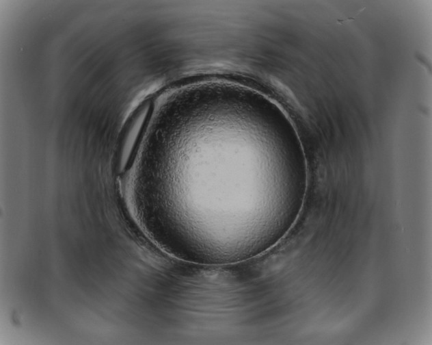 X0000097671218200803071547