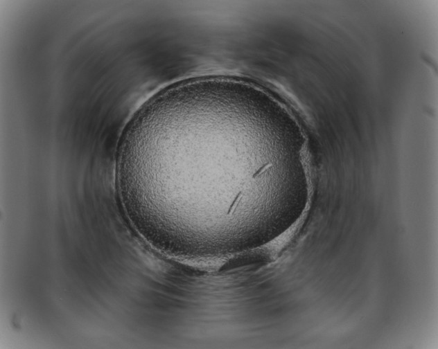 X0000097671220200803071547