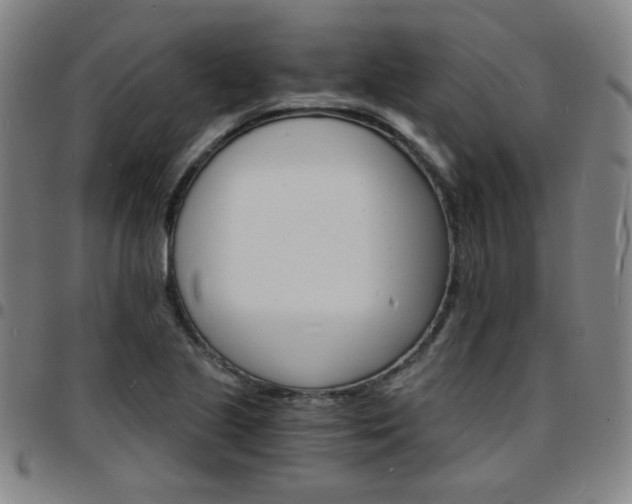X0000097671221200803071547