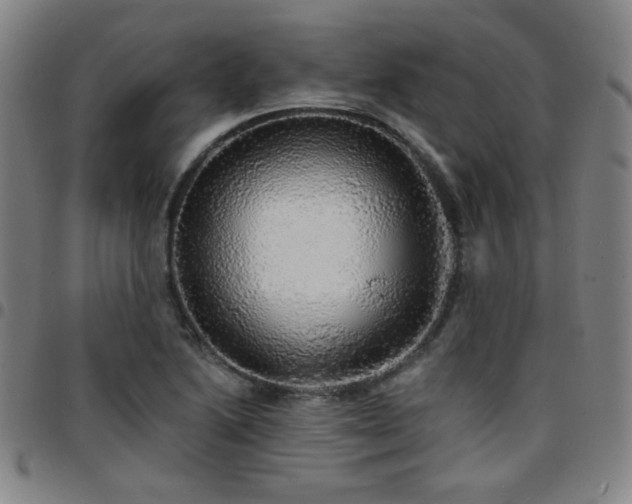 X0000097671222200803071547