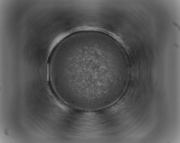 X0000097671223200803071547
