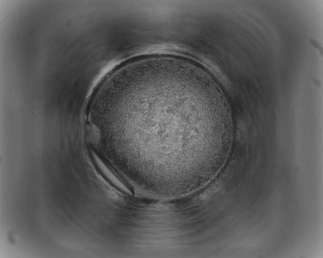 X0000097671224200803071547