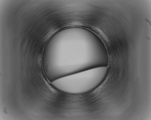 X0000097671225200803071547