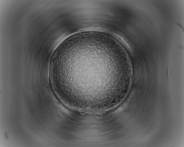 X0000097671228200803071548