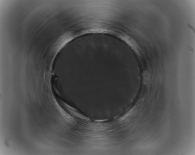 X0000097671229200803071548