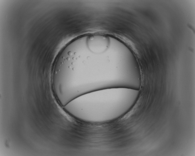 X0000097671231200803071548