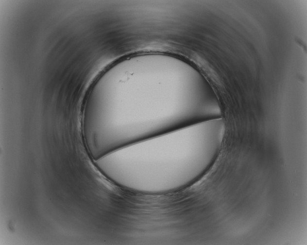 X0000097671232200803071548