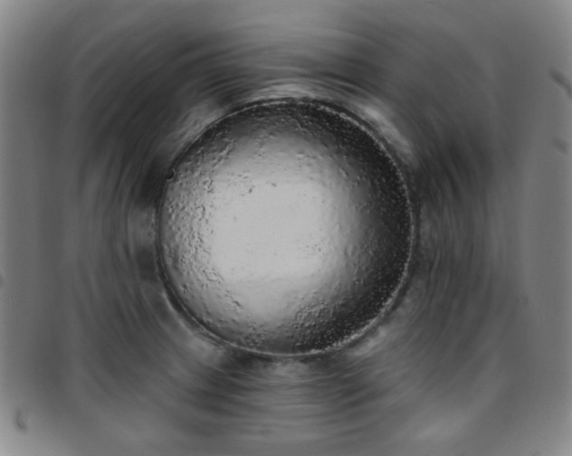 X0000097671233200803071548