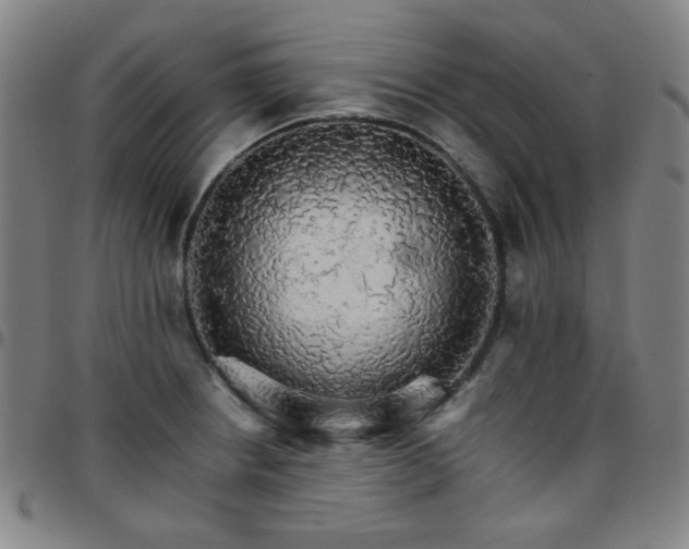 X0000097671234200803071548