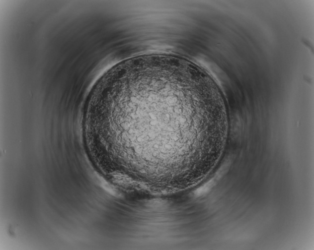 X0000097671235200803071548