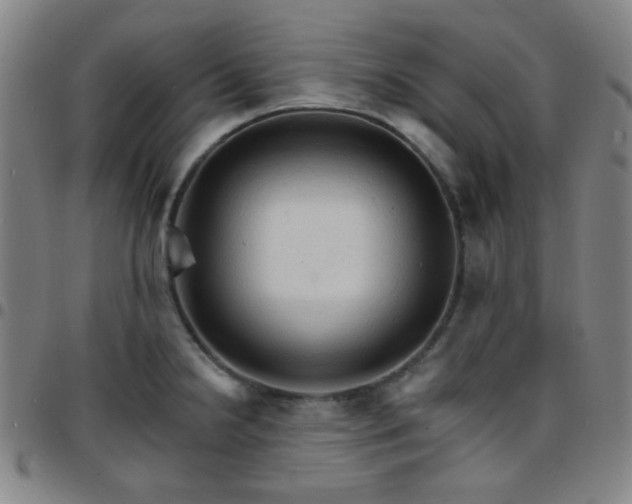 X0000097671238200803071548