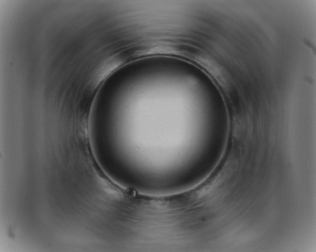 X0000097671241200803071548