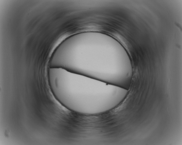 X0000097671243200803071548