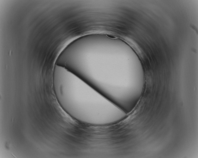 X0000097671244200803071548