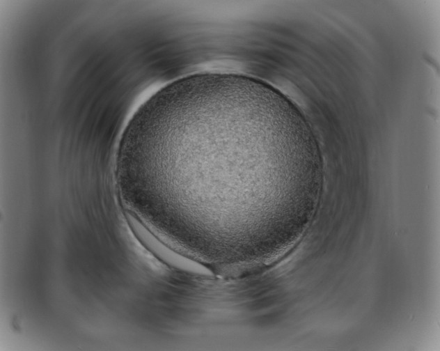 X0000097671248200803071548