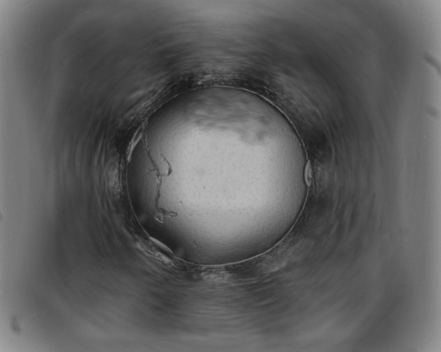 X0000097671250200803071547